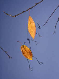 Falling Leaves by Terry Border