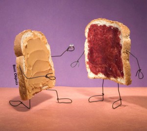 PB+J Proposal by Terry Border